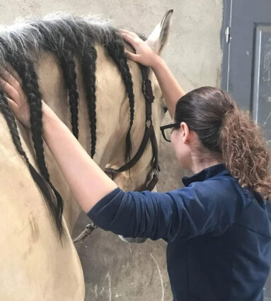 Soin de support pour le cheval souffrant de pathologie chronique dans la région Moselle