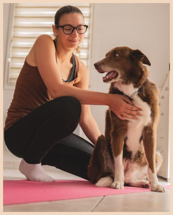 Séance de shiatsu canin dans le Grand Est avec Chloé Dupont