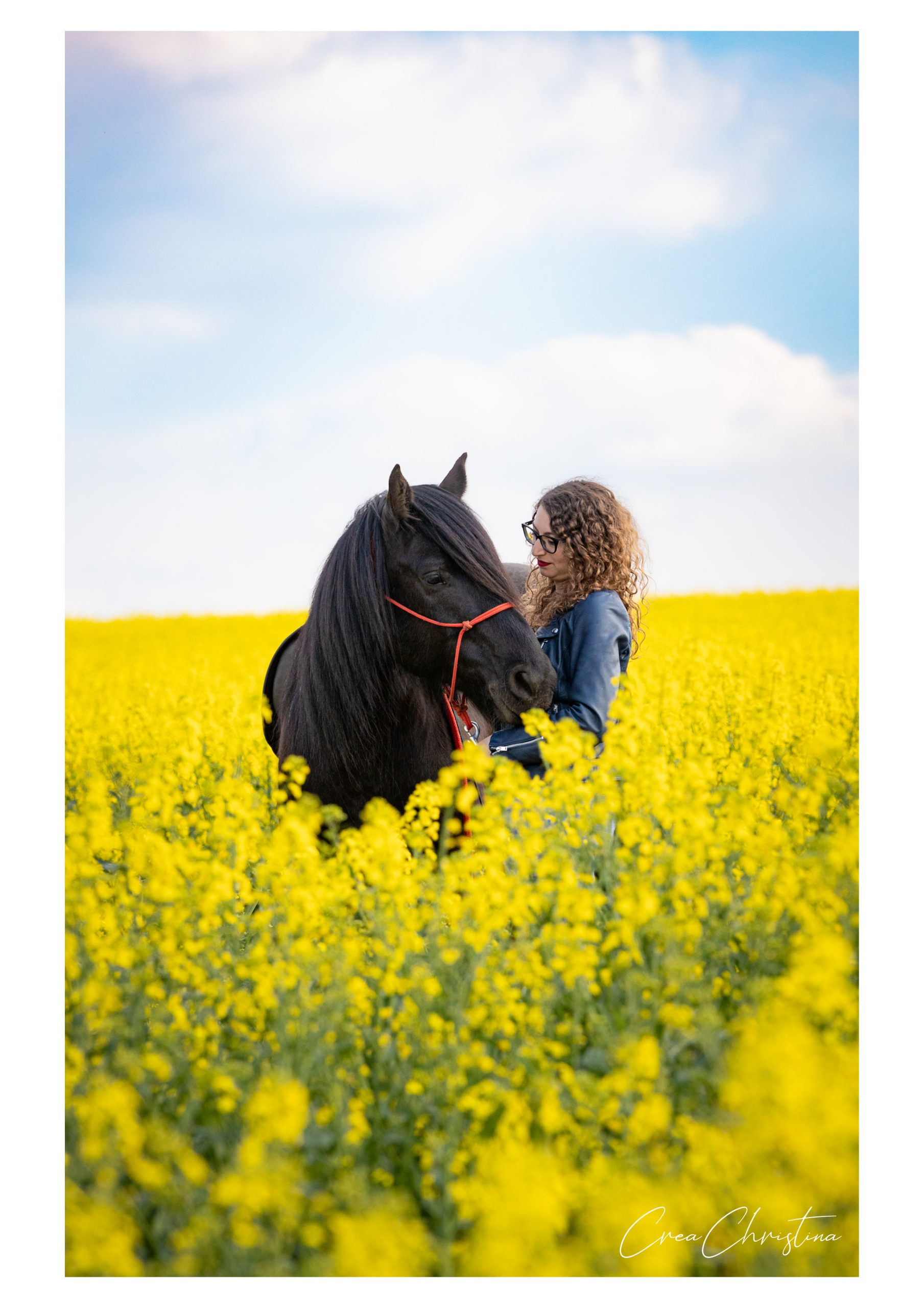 Les bienfaits du Shiatsu pour un Duo harmonieux, un moment de détente et de bien-être pour toi et ton cheval