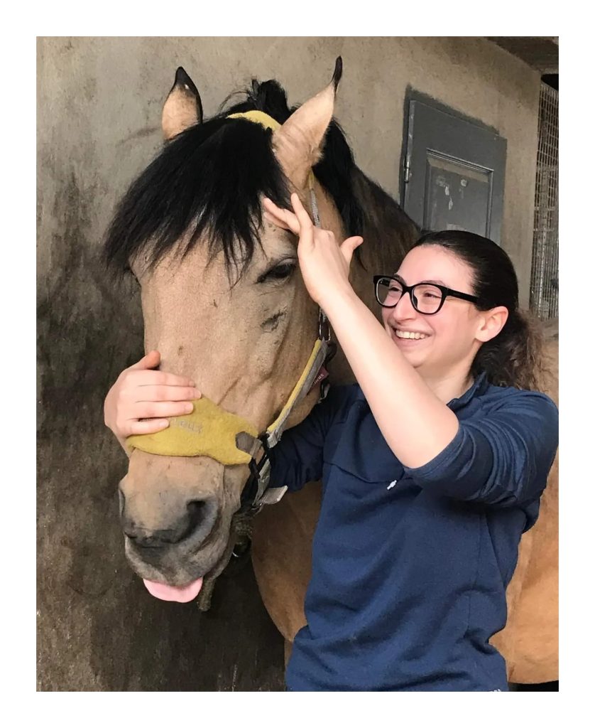 En complément des traitements vétérinaires, le shiatsu peut apaiser l’inconfort de ton cheval. Et ainsi lui permettre de retrouver l’équilibre, pour mieux vivre malgré ses problèmes de santé.